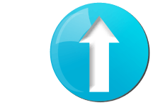 Раскрутка сайта в поисковых системах